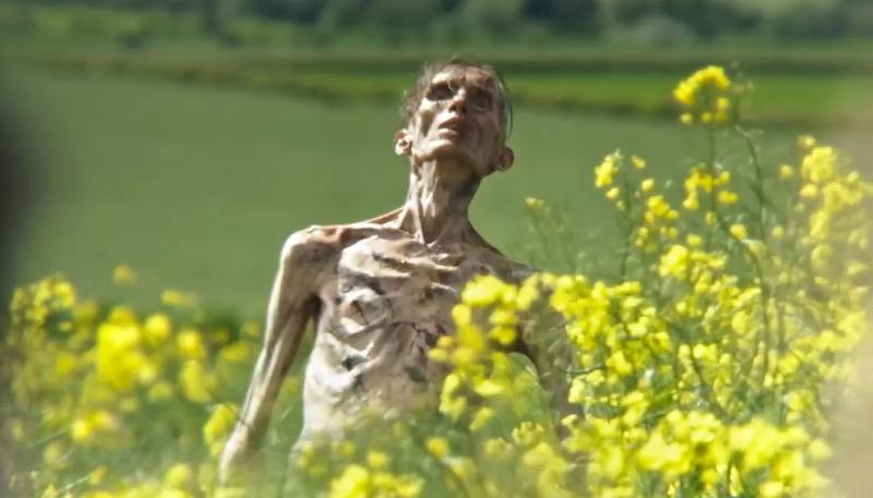 Киллиан Мерфи в виде зомби озадачил поклонников актера