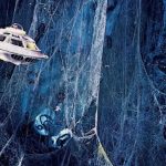 Джеймс Кэмерон намекнул на перезапуск «Фантастического путешествия»