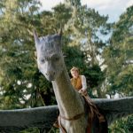 Режиссер «Белоснежки» работает над сериалом Disney+ «Эрагон»